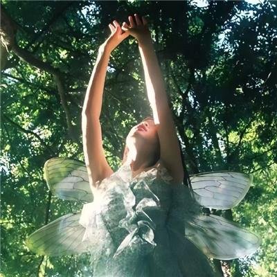 我的土地我的家