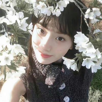 情谜郁金香